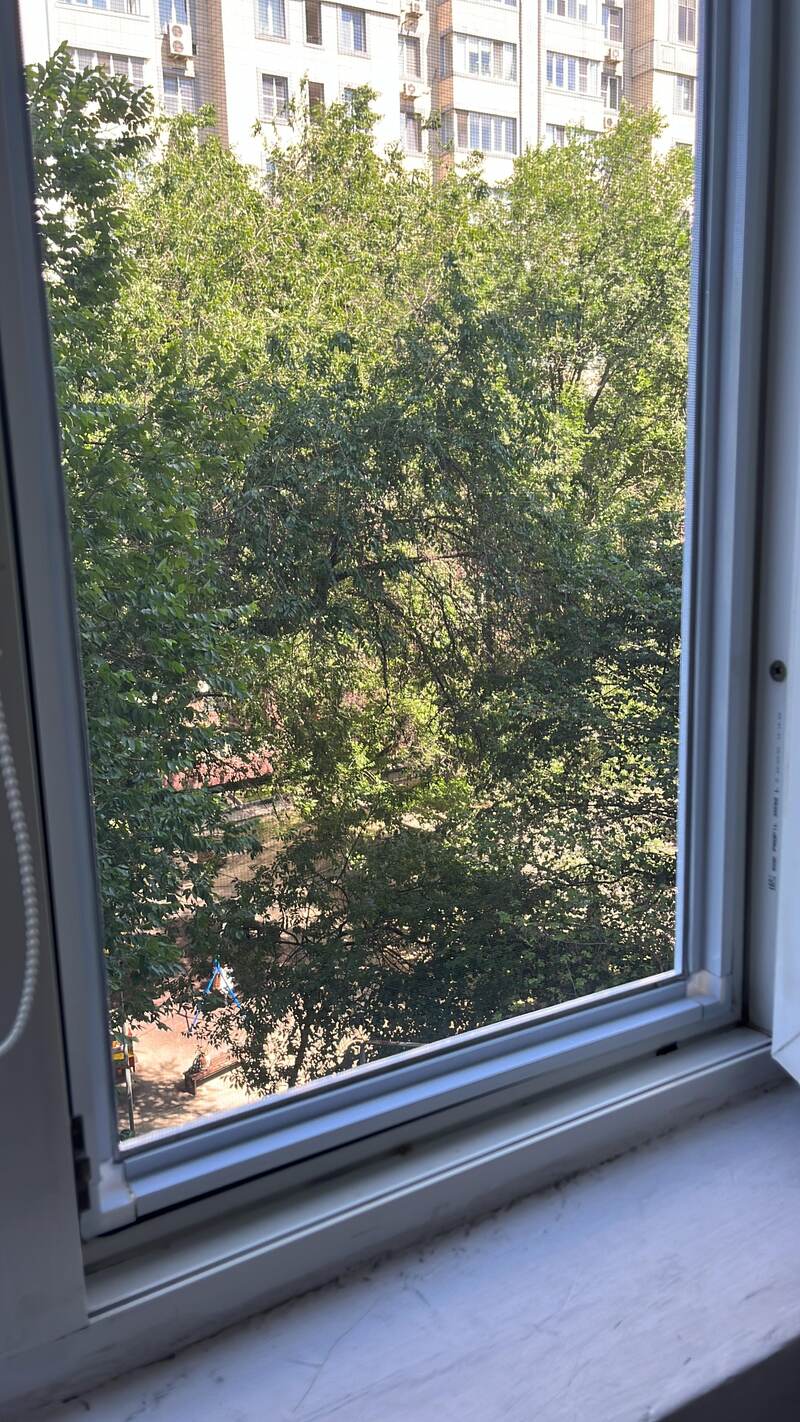 Внутренняя москитная сетка, установленная изнутри окна